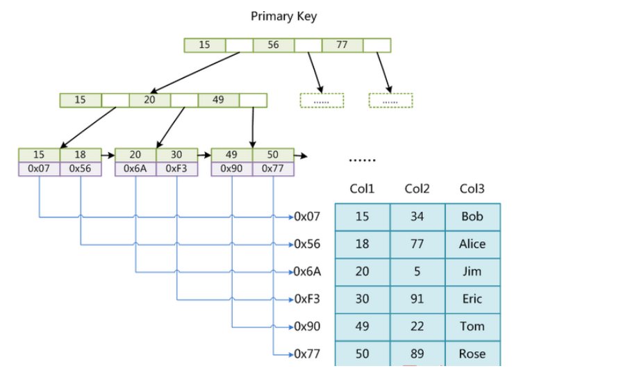 image-20200805011412557